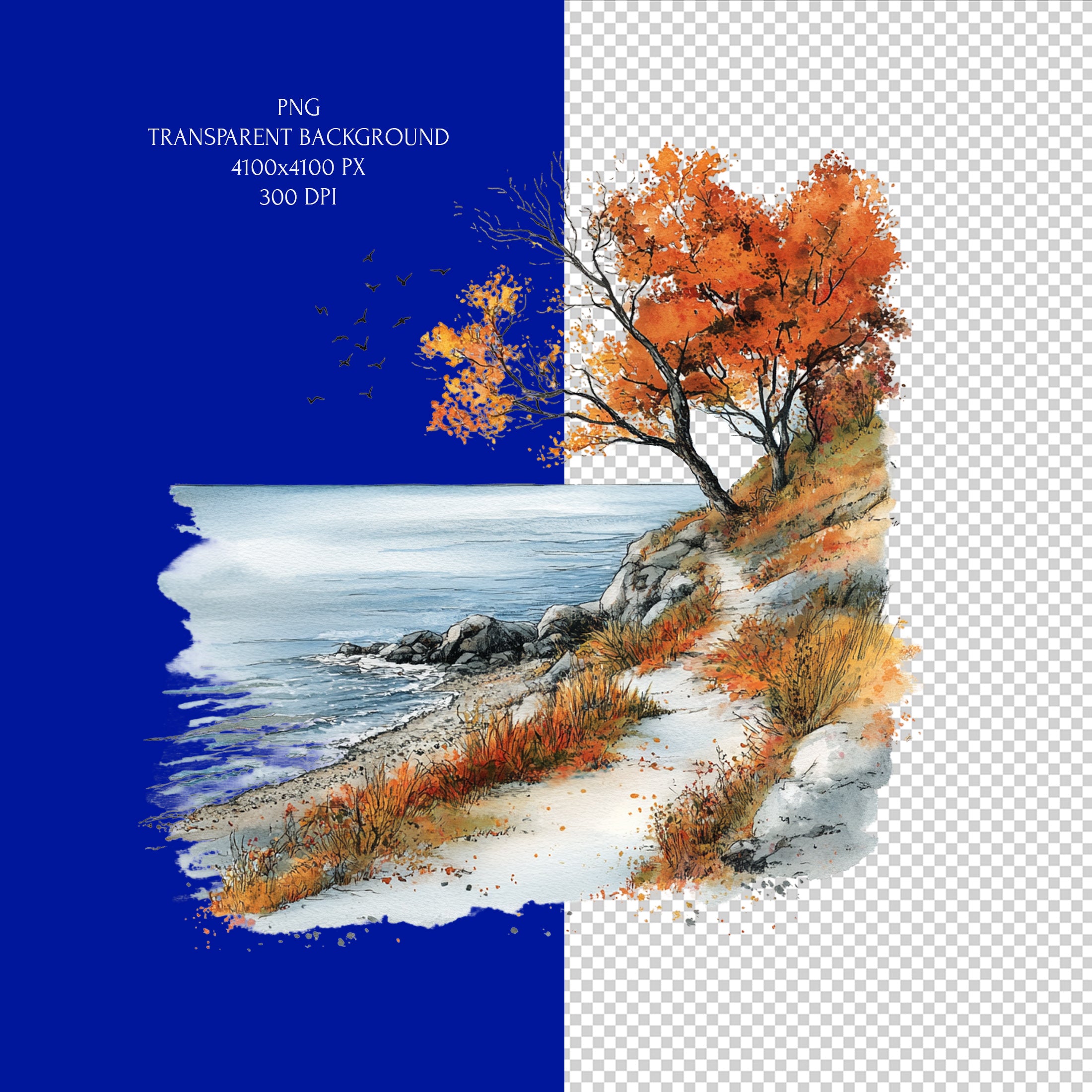 Peisaje de Coastă de Vis - Clipart Stil Acuarelă - Plaje Tropicale, Stânci Sălbatice PNG