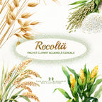 Clipart Acuarelă Recolta: Spice Grâu, Orez & Secară (PNG)