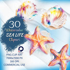 Sea Life – Clipart PNG cu căluți de mare, stele de mare, scoici, alge și corali