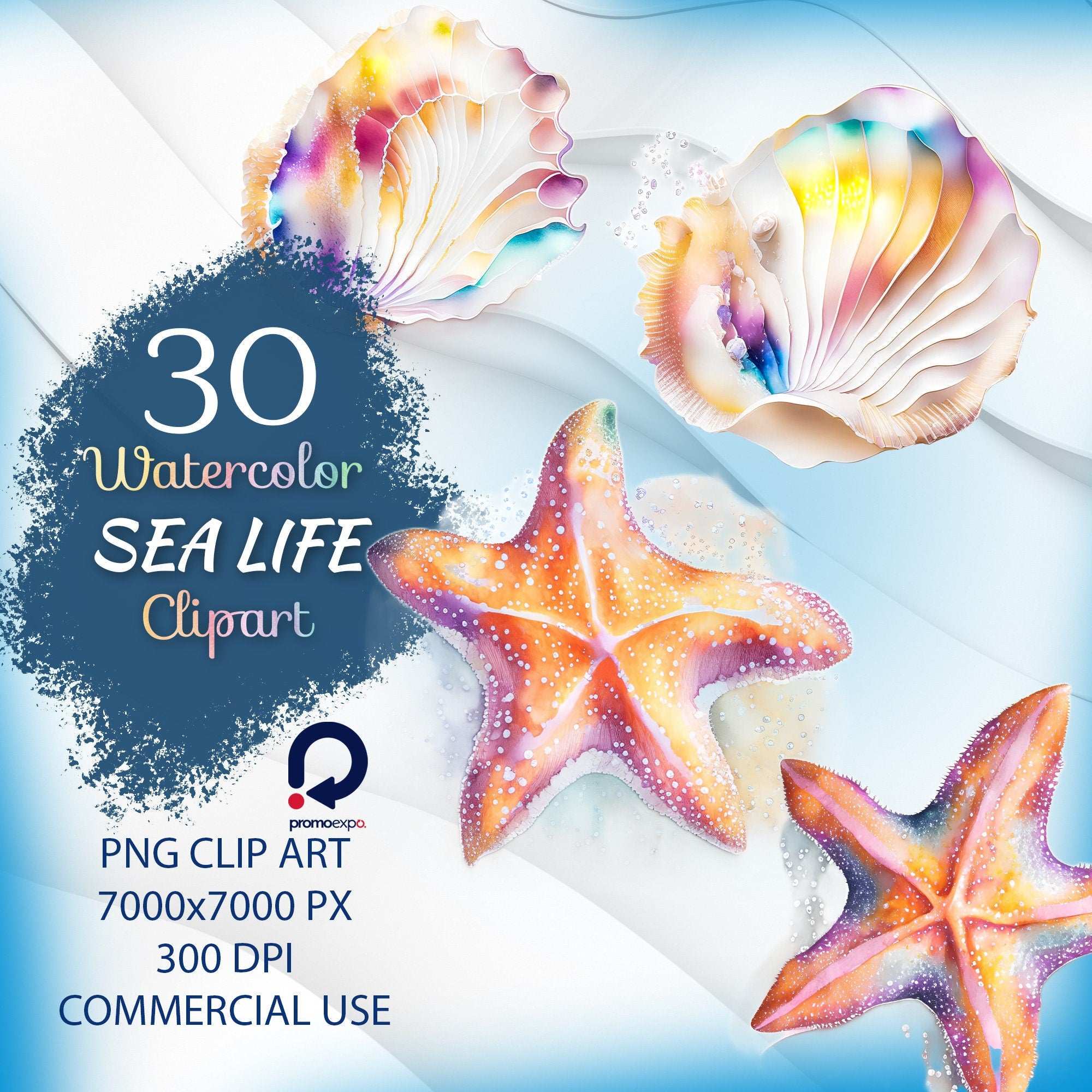 Sea Life – Clipart PNG cu căluți de mare, stele de mare, scoici, alge și corali