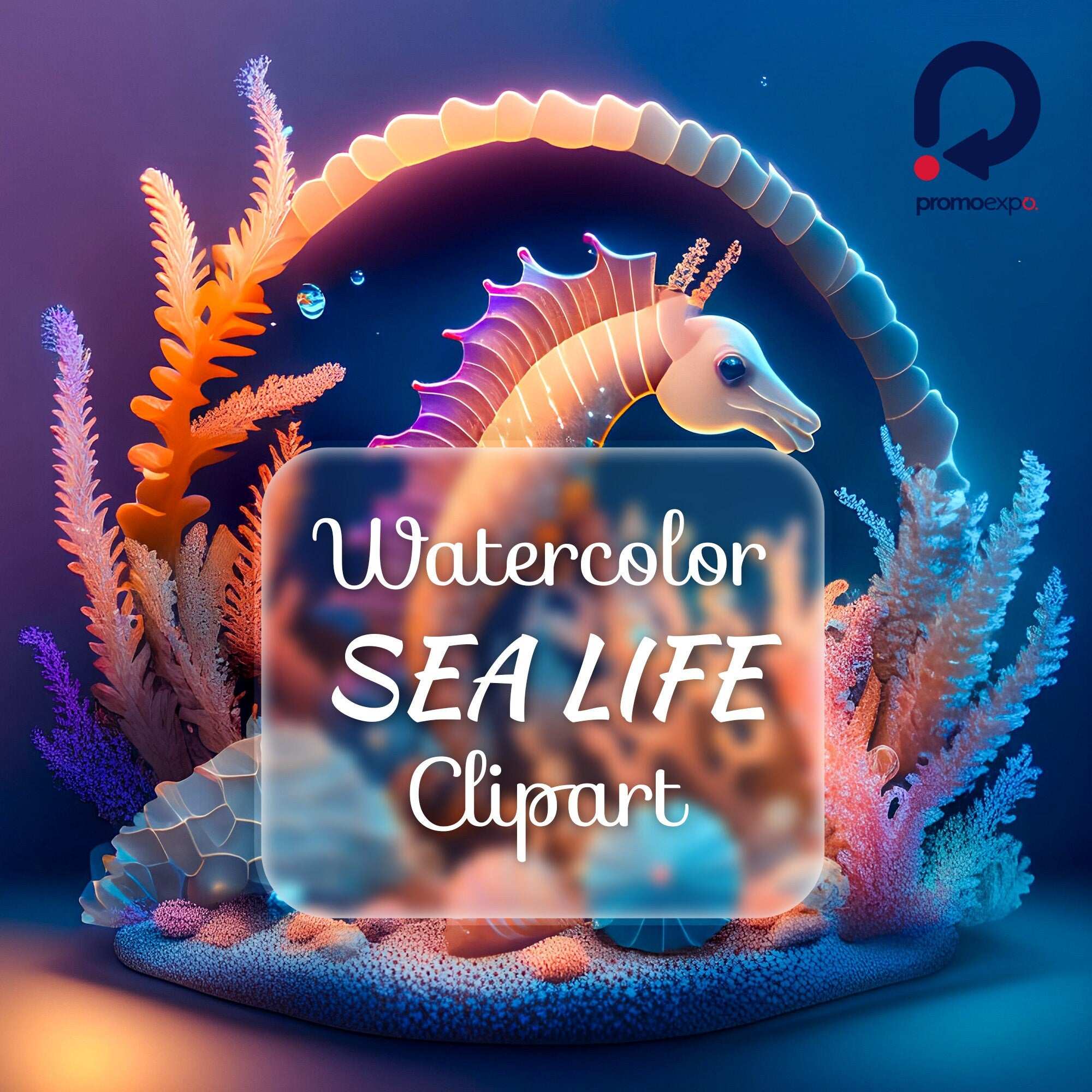 Sea Life – Clipart PNG cu căluți de mare, stele de mare, scoici, alge și corali