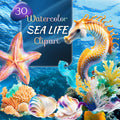 Sea Life – Clipart PNG cu căluți de mare, stele de mare, scoici, alge și corali