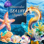Sea Life – Clipart PNG cu căluți de mare, stele de mare, scoici, alge și corali