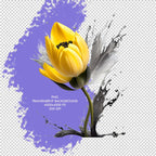 Clipart Acuarelă Lalele cu Stropi de Apă, Ilustrații Florale