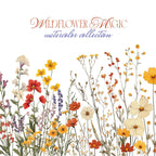 Wildflower Magic – Clipart PNG cu flori sălbatice în stil acuarelă, borduri florale și coroane decorative