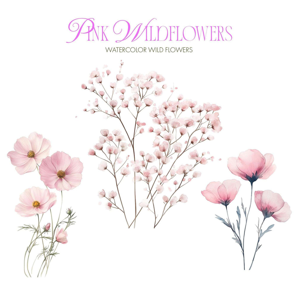 Clipart Acuarelă Flori de Câmp Roz, Ilustrații Florale Elegante