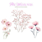 Clipart Acuarelă Flori de Câmp Roz, Ilustrații Florale Elegante