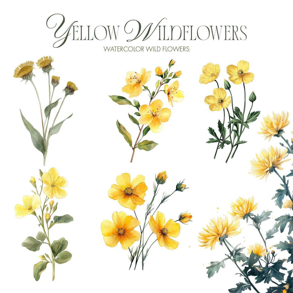Yellow Floral Clipart – Clipart PNG cu flori sălbatice galbene în stil acuarelă, buchete și aranjamente florale