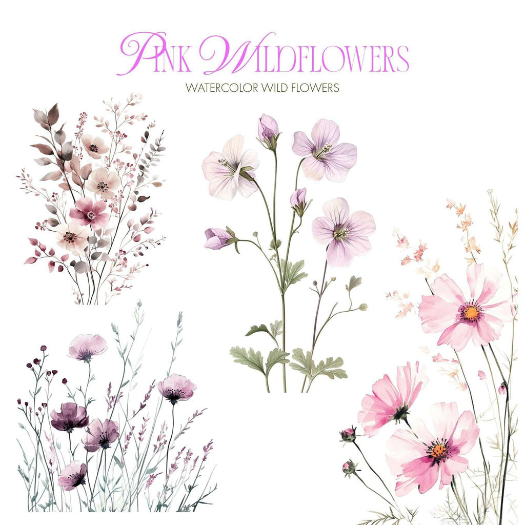 Clipart Acuarelă Flori de Câmp Roz, Ilustrații Florale Elegante