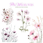 Clipart Acuarelă Flori de Câmp Roz, Ilustrații Florale Elegante