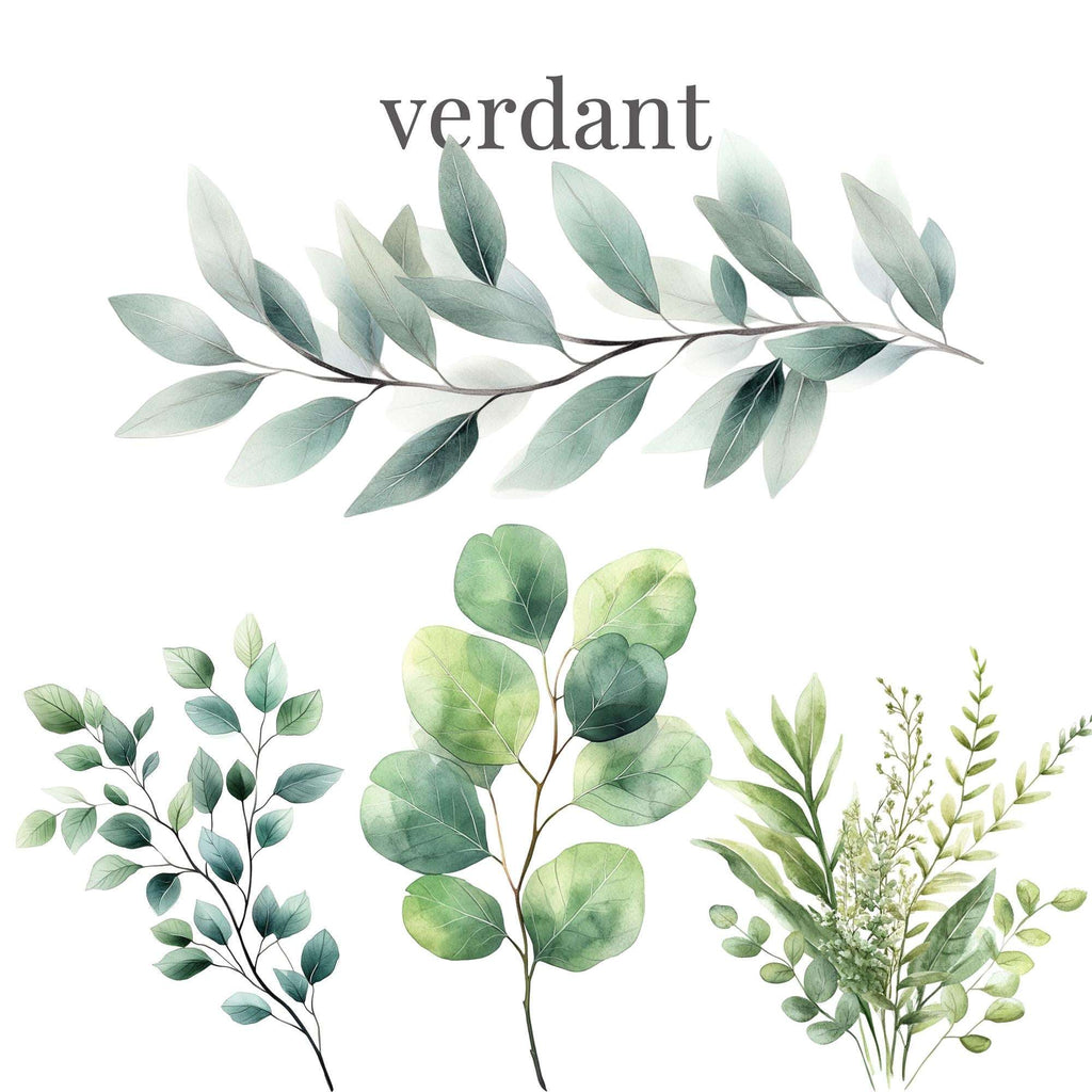 Verdant – Clipart PNG cu frunziș verde în stil acuarelă, ideal pentru nunți boho și designuri botanice