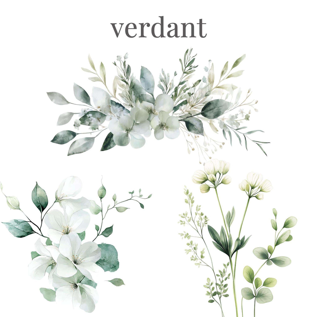 Verdant – Clipart PNG cu frunziș verde în stil acuarelă, ideal pentru nunți boho și designuri botanice