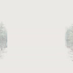 Snowy Pine Trees Clipart, Winter Forest Watercolor Scenery, Watercolor Landscapes, Landscapes Clipart, Winter Scenes, Winter Clipart, PNG
